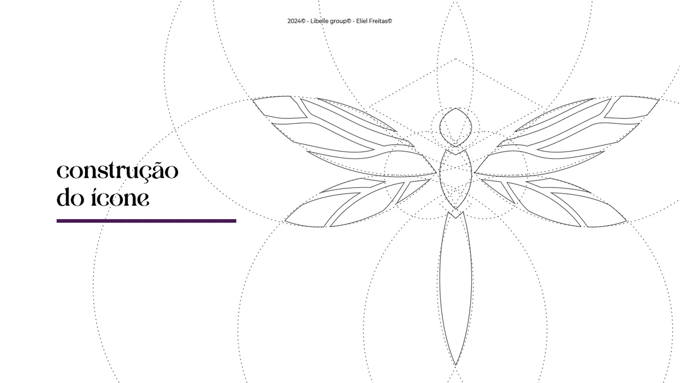 Geometric construction of the Libelle Group icon